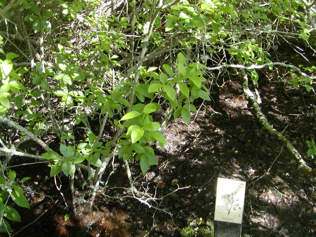 No description provided for: /2009/0715-fort-hill/_3/photo57.html