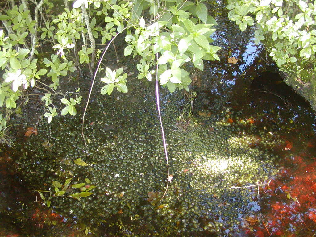 No description provided for: /2009/0715-fort-hill/_3/photo58.html