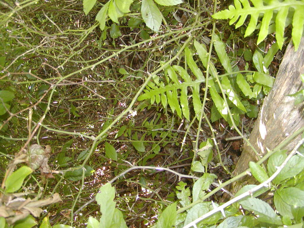 No description provided for: /2009/0715-fort-hill/_3/photo62.html