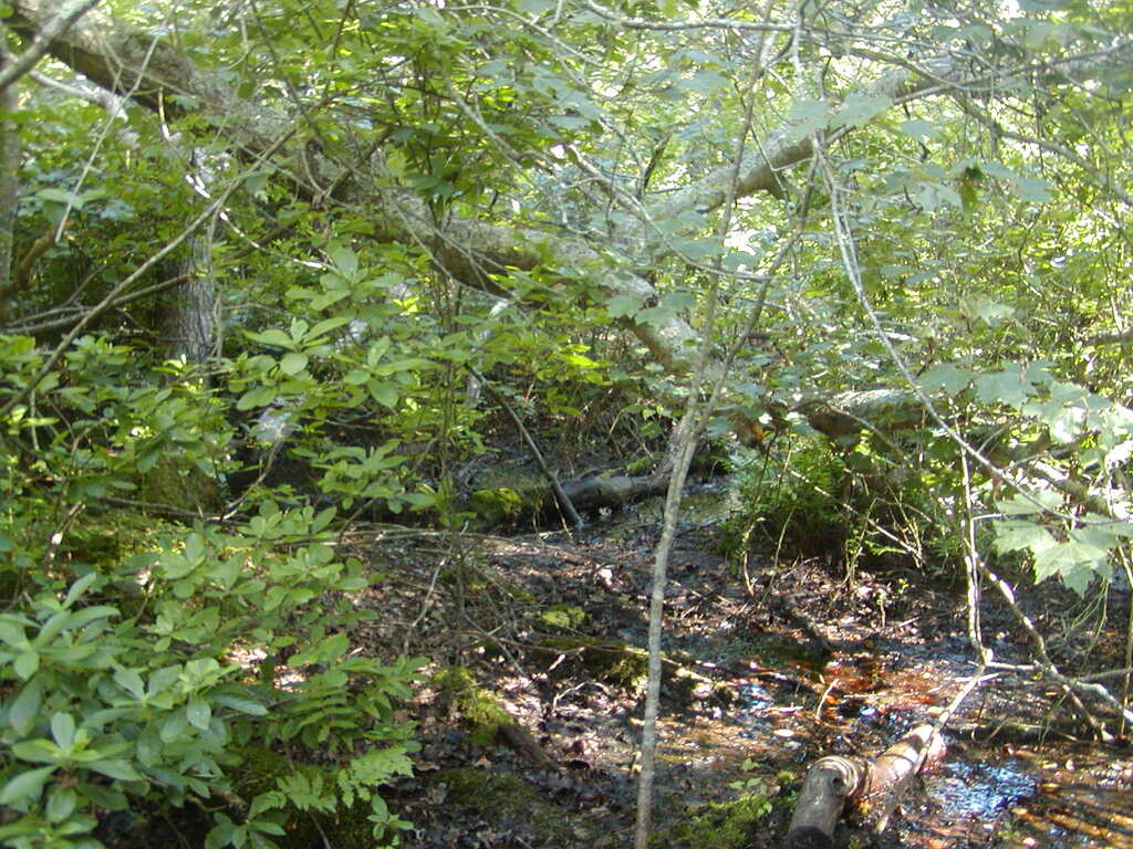 No description provided for: /2009/0715-fort-hill/_3/photo63.html