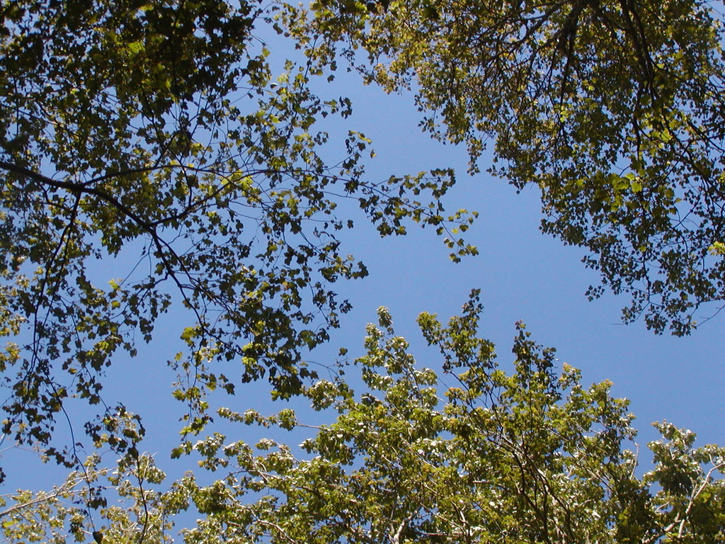 No description provided for: /2009/0715-fort-hill/_4/photo67.html