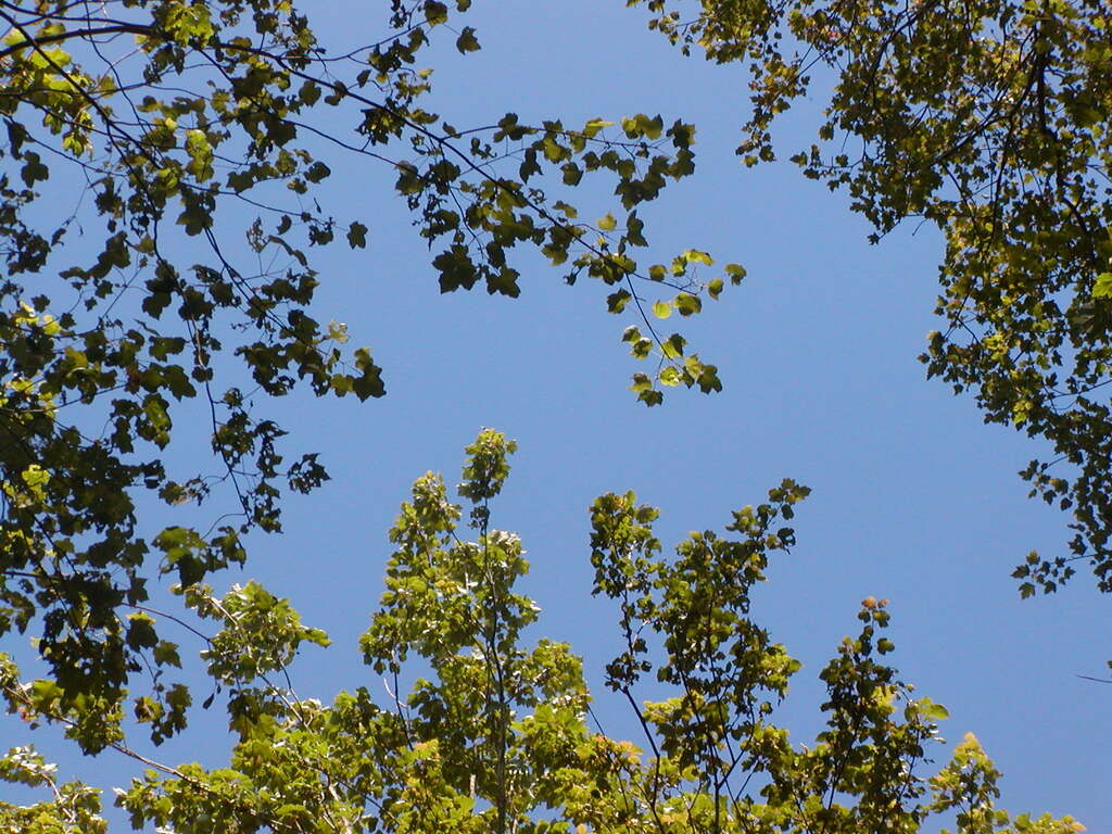 No description provided for: /2009/0715-fort-hill/_4/photo68.html