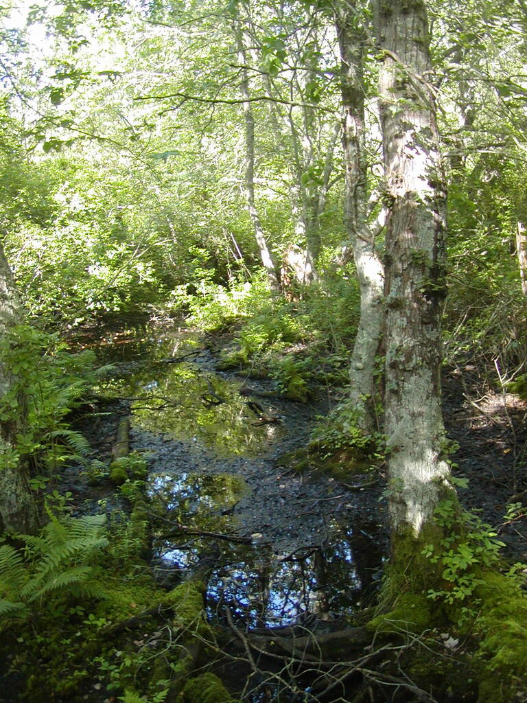 No description provided for: /2009/0715-fort-hill/_4/photo70.html