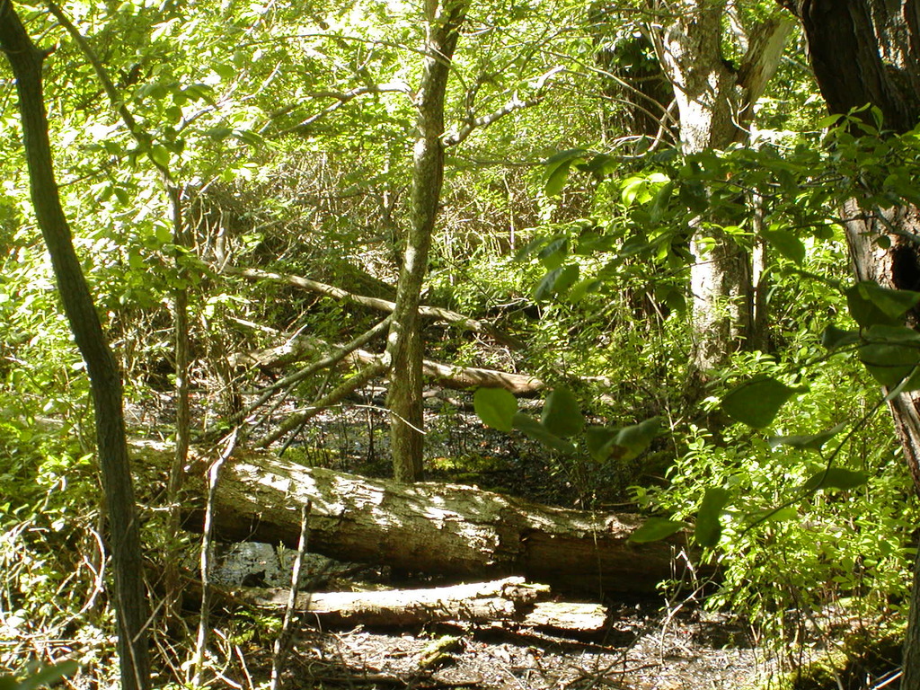 No description provided for: /2009/0715-fort-hill/_4/photo71.html