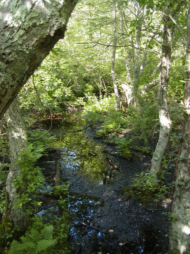 No description provided for: /2009/0715-fort-hill/_4/photo73.html