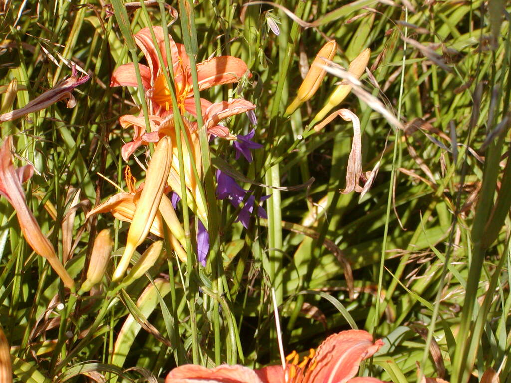 No description provided for: /2009/0715-fort-hill/_4/photo85.html