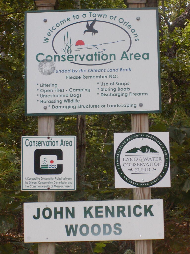 No description provided for: /2009/0715-jkenrick-woods/_1/photo01.html