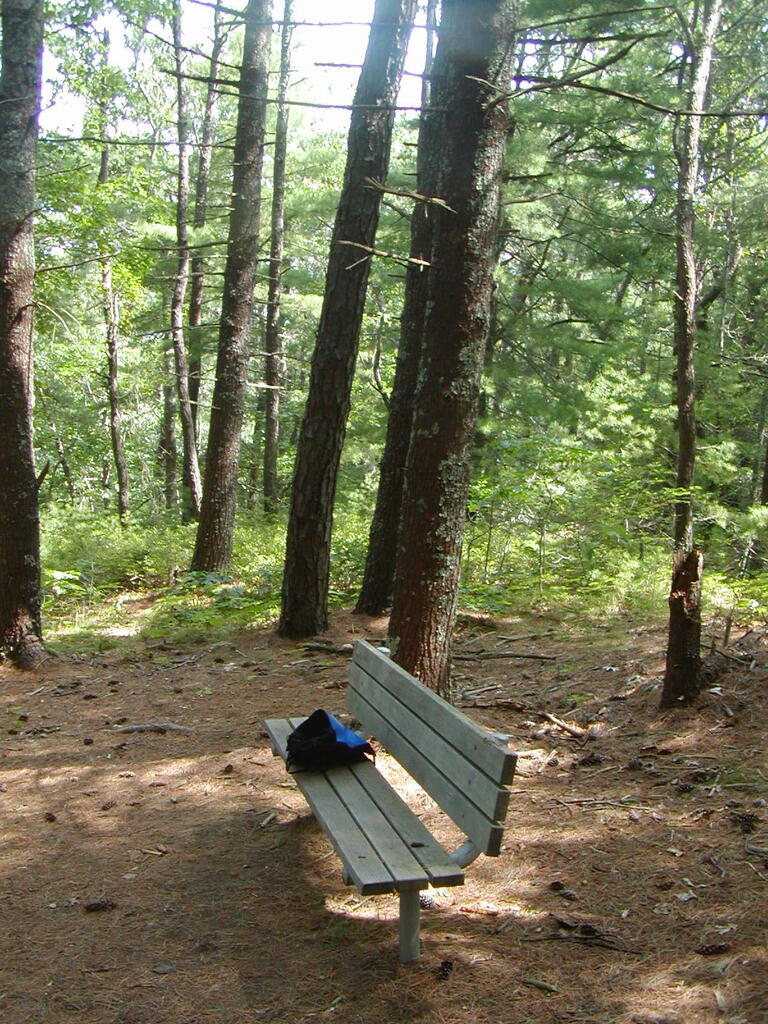 No description provided for: /2009/0715-jkenrick-woods/_1/photo04.html