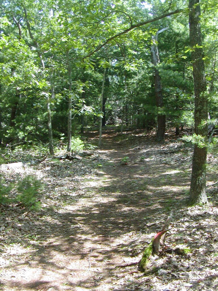 No description provided for: /2009/0715-jkenrick-woods/_1/photo13.html