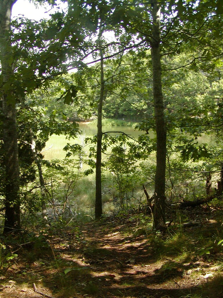 No description provided for: /2009/0715-jkenrick-woods/_2/photo15.html