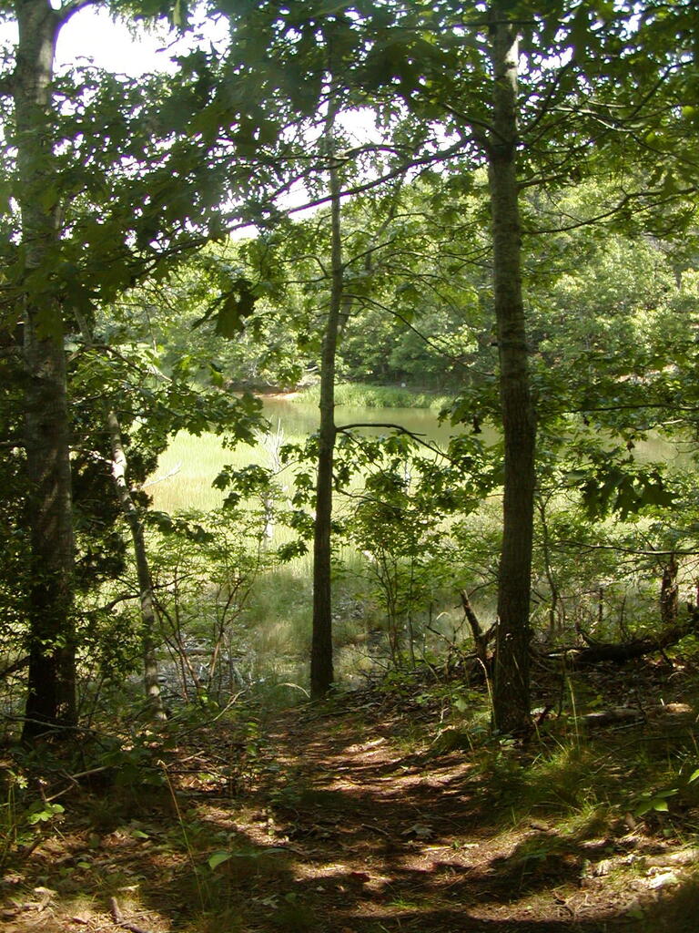 No description provided for: /2009/0715-jkenrick-woods/_2/photo16.html