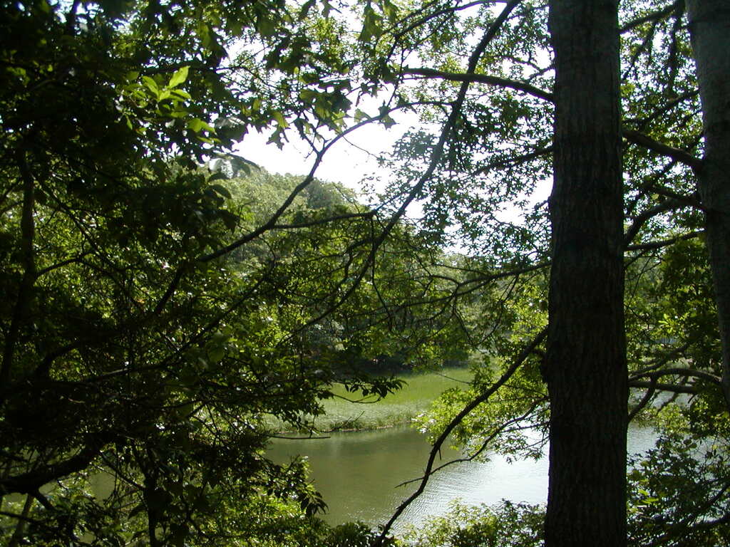 No description provided for: /2009/0715-jkenrick-woods/_2/photo17.html