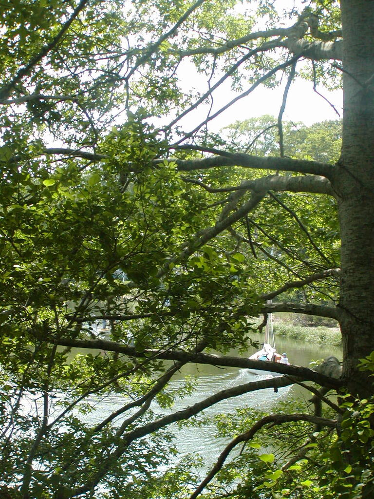 No description provided for: /2009/0715-jkenrick-woods/_2/photo20.html