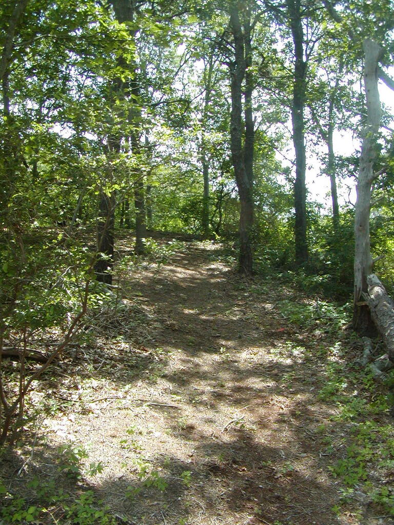 No description provided for: /2009/0715-jkenrick-woods/_2/photo23.html