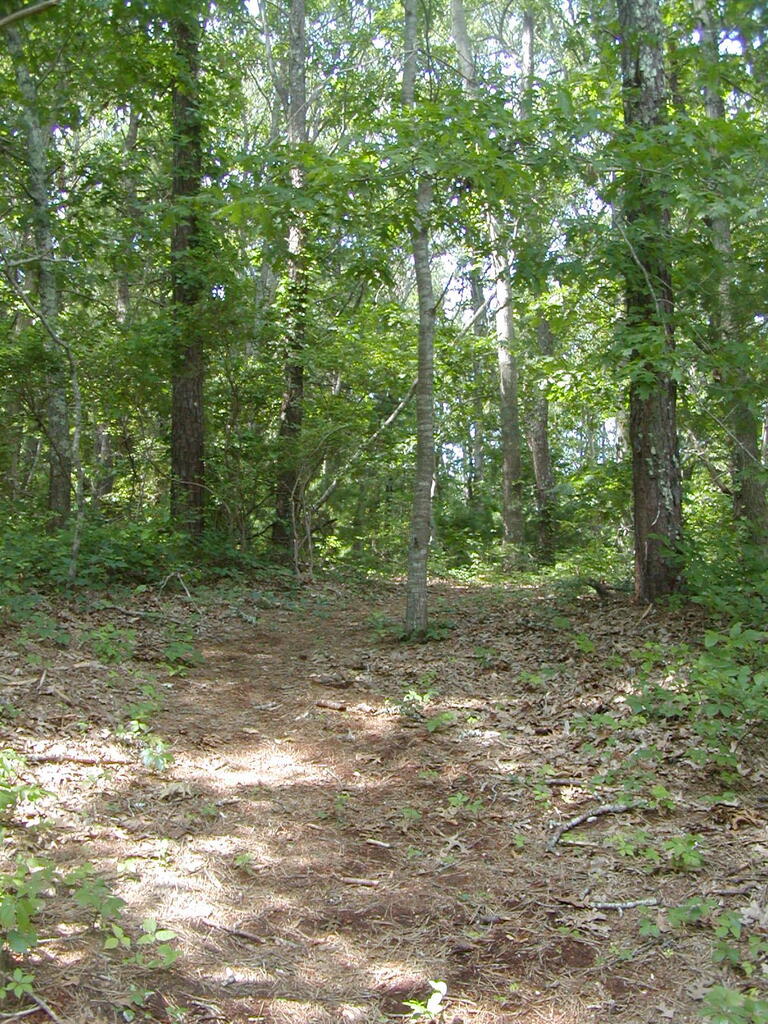 No description provided for: /2009/0715-jkenrick-woods/_2/photo26.html