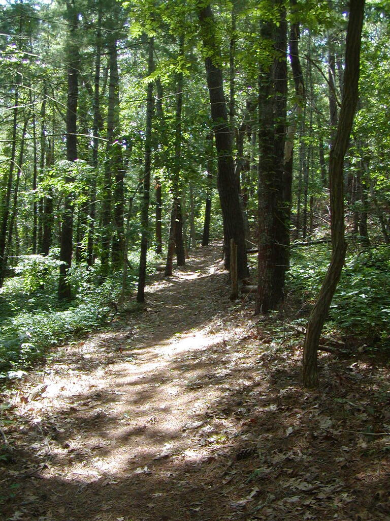 No description provided for: /2009/0715-jkenrick-woods/_2/photo27.html