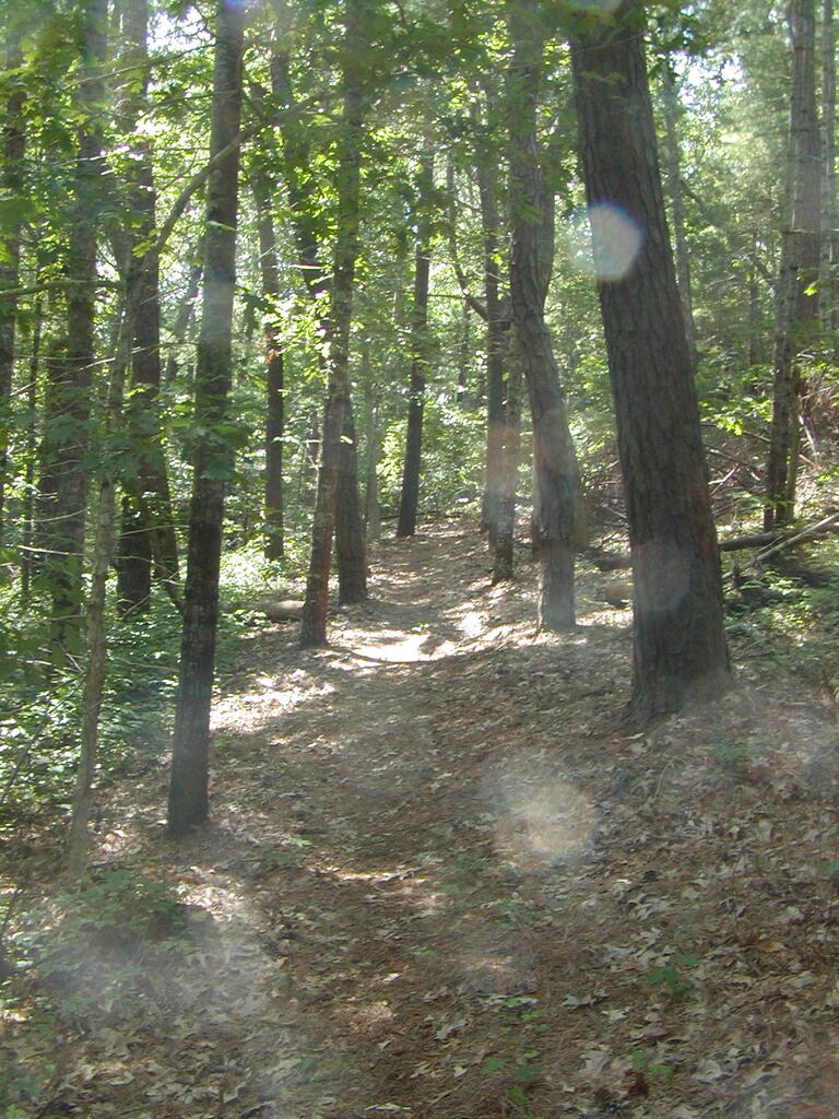 No description provided for: /2009/0715-jkenrick-woods/_2/photo28.html