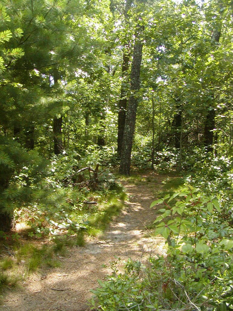 No description provided for: /2009/0715-paw-wah-pond/_1/photo02.html