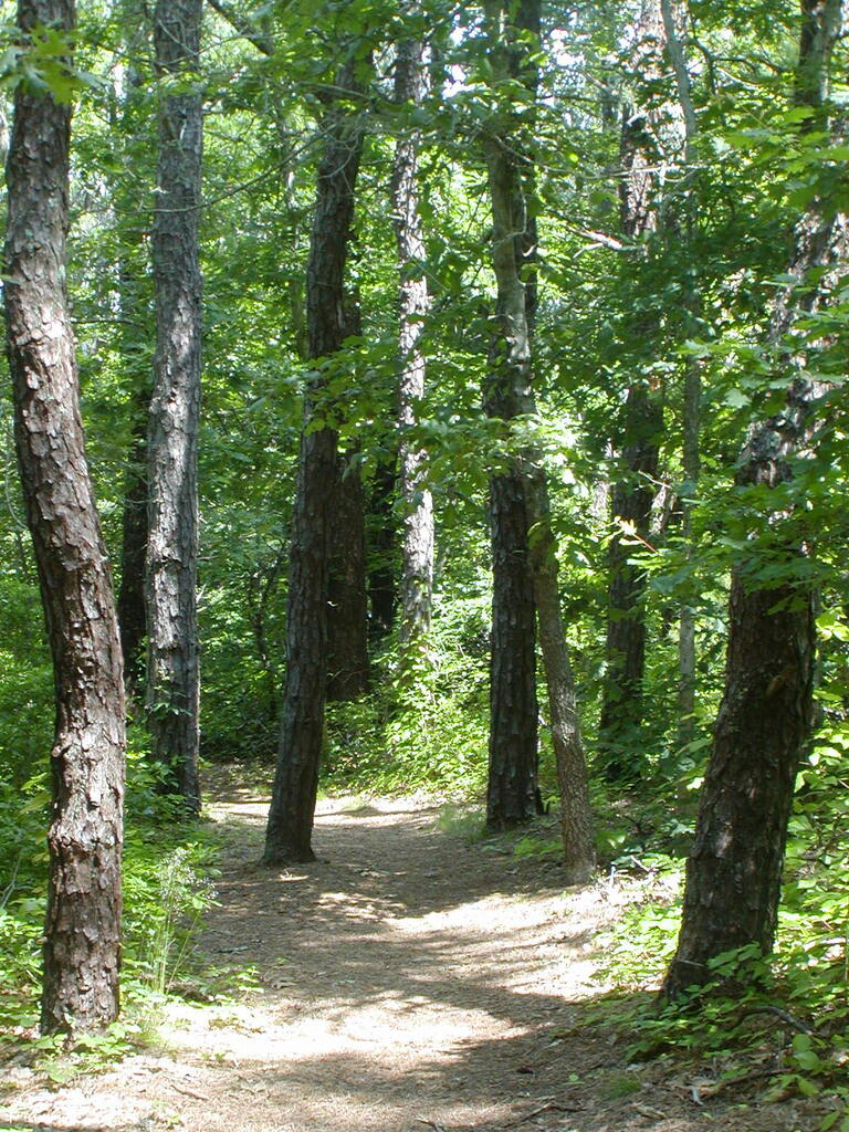 No description provided for: /2009/0715-paw-wah-pond/_1/photo04.html