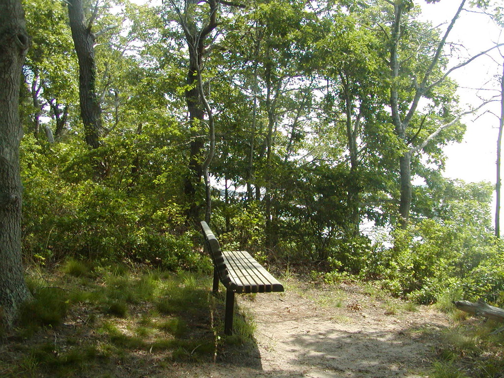 No description provided for: /2009/0715-paw-wah-pond/_1/photo07.html