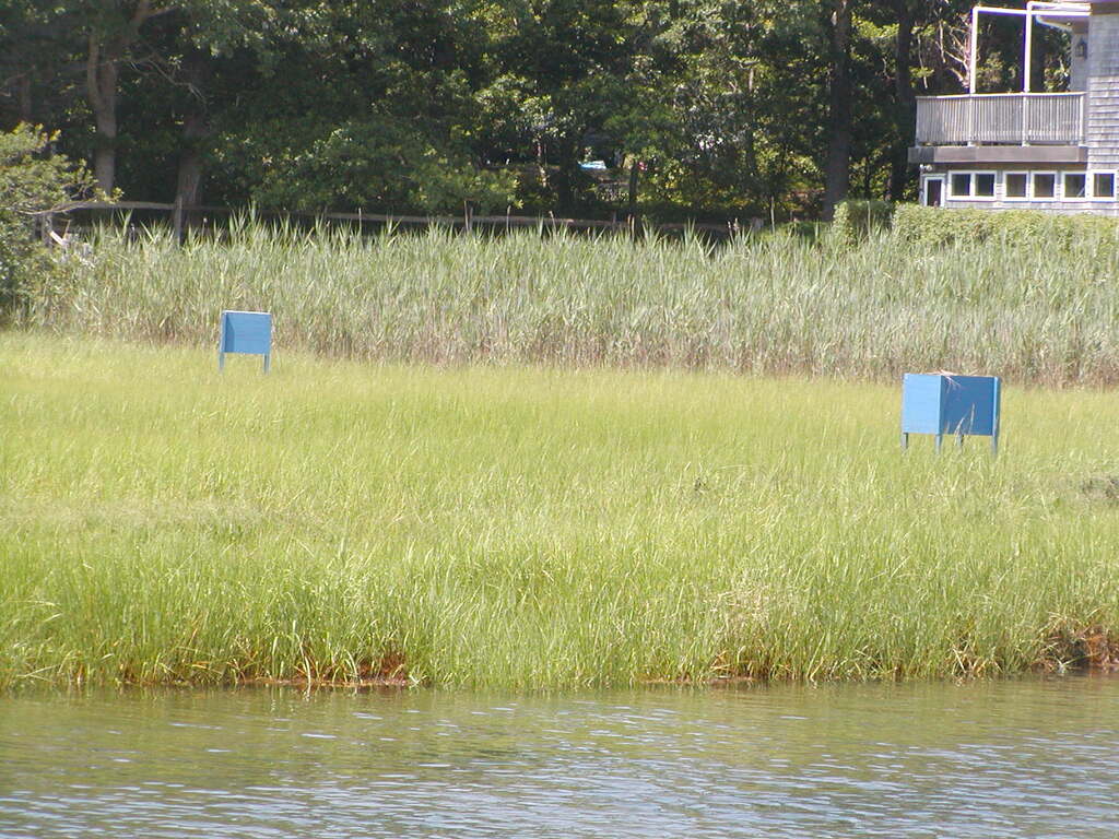 No description provided for: /2009/0715-paw-wah-pond/_1/photo13.html