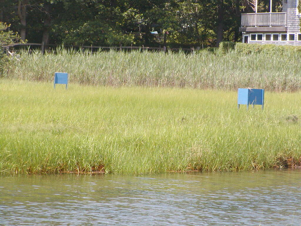 No description provided for: /2009/0715-paw-wah-pond/_1/photo14.html