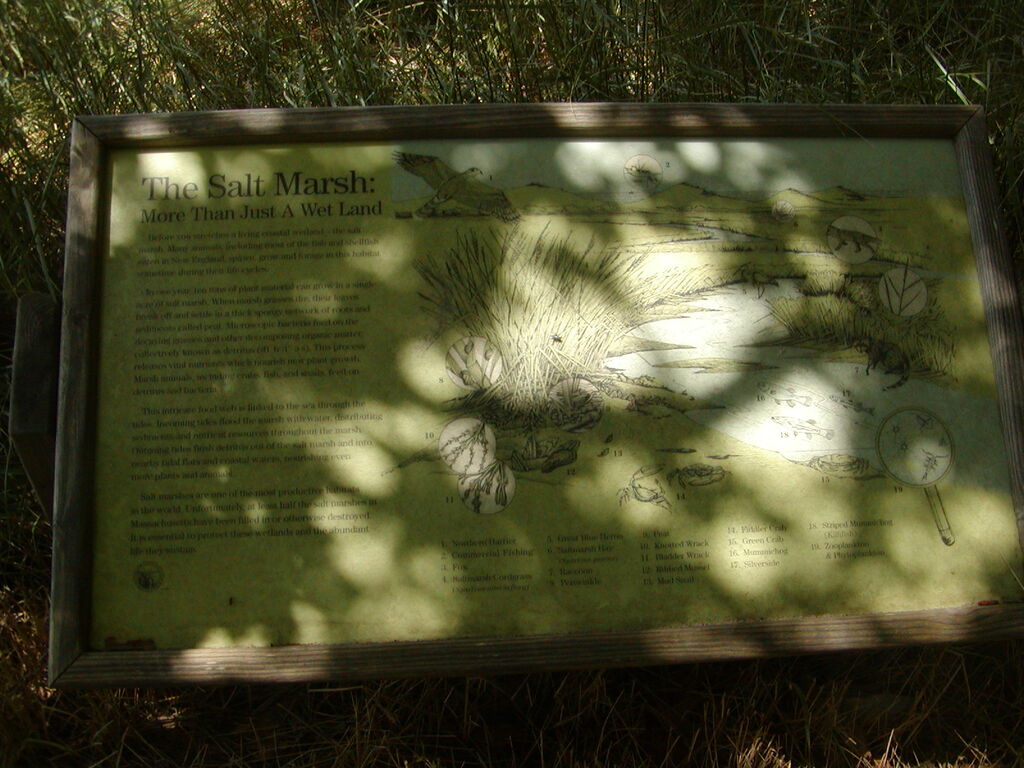 No description provided for: /2009/0715-paw-wah-pond/_2/photo18.html