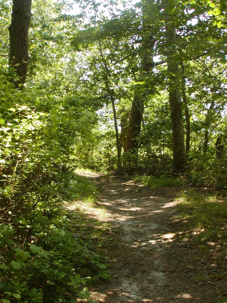 No description provided for: /2009/0715-paw-wah-pond/_2/photo21.html