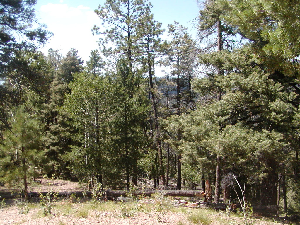 No description provided for: /2009/0810-new-mexico/_1/photo04.html