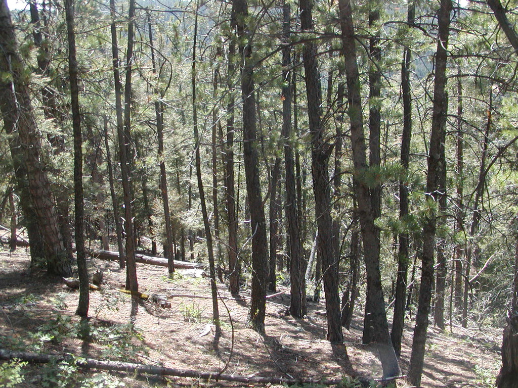 No description provided for: /2009/0810-new-mexico/_1/photo06.html