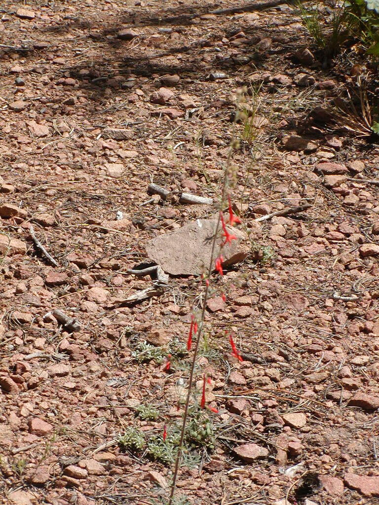 No description provided for: /2009/0810-new-mexico/_1/photo07.html