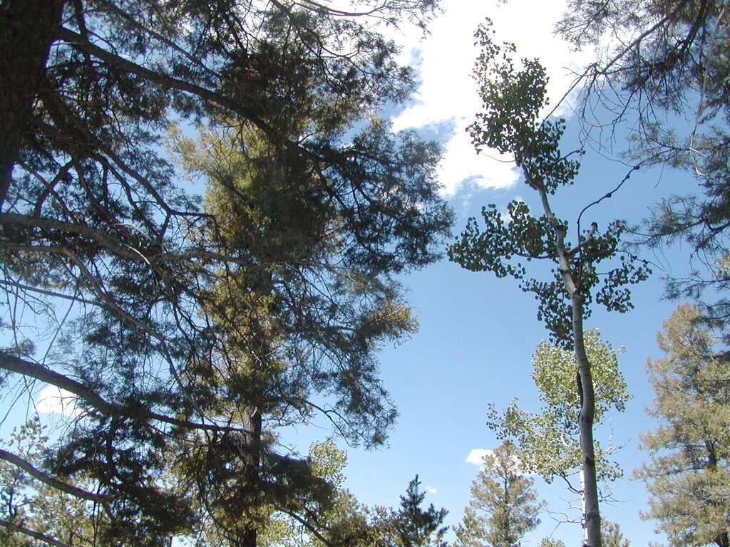 No description provided for: /2009/0810-new-mexico/_1/photo10.html