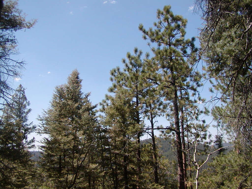 No description provided for: /2009/0810-new-mexico/_1/photo14.html