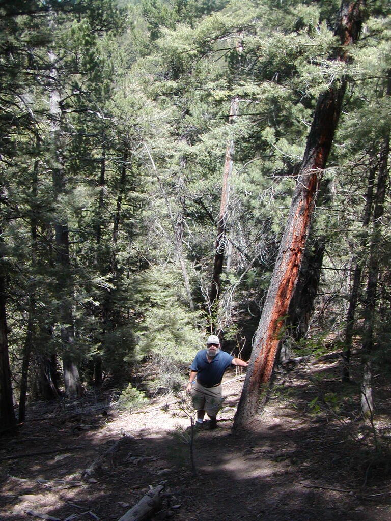 No description provided for: /2009/0810-new-mexico/_1/photo16.html