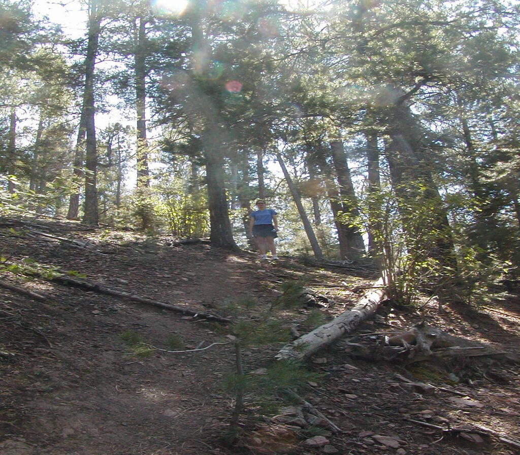 No description provided for: /2009/0810-new-mexico/_1/photo20.html