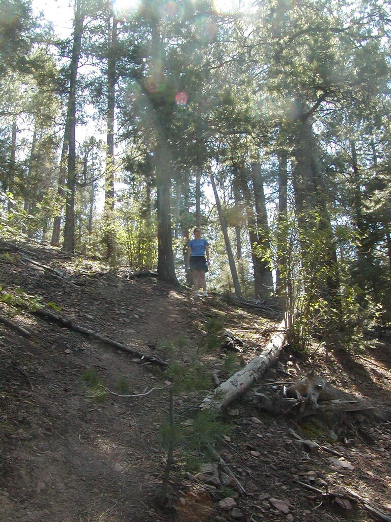 No description provided for: /2009/0810-new-mexico/_1/photo21.html