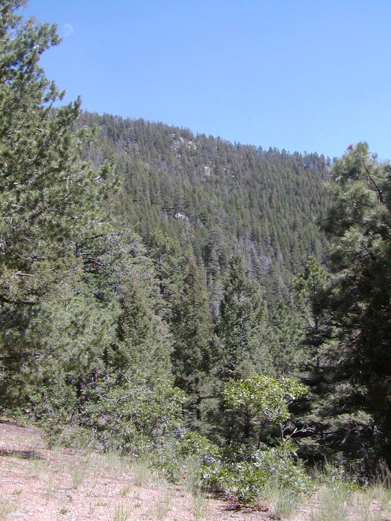 No description provided for: /2009/0810-new-mexico/_2/photo25.html