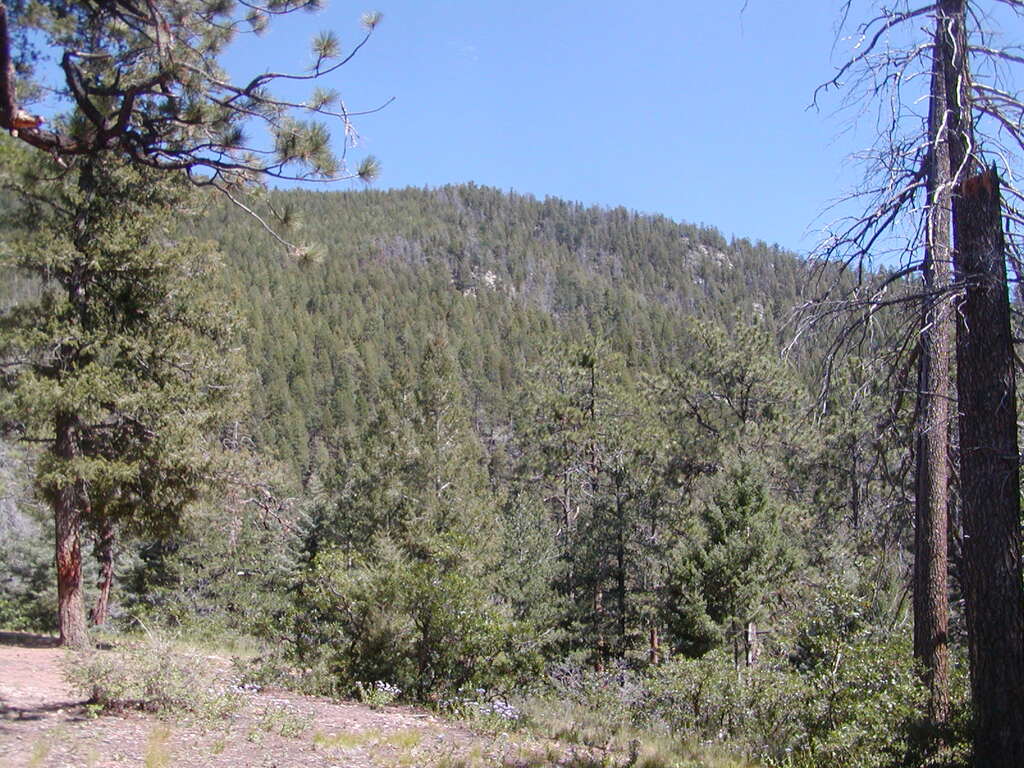 No description provided for: /2009/0810-new-mexico/_2/photo28.html