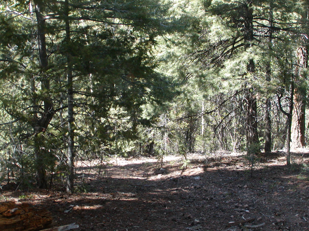 No description provided for: /2009/0810-new-mexico/_2/photo32.html