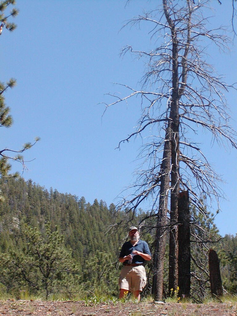 No description provided for: /2009/0810-new-mexico/_2/photo37.html