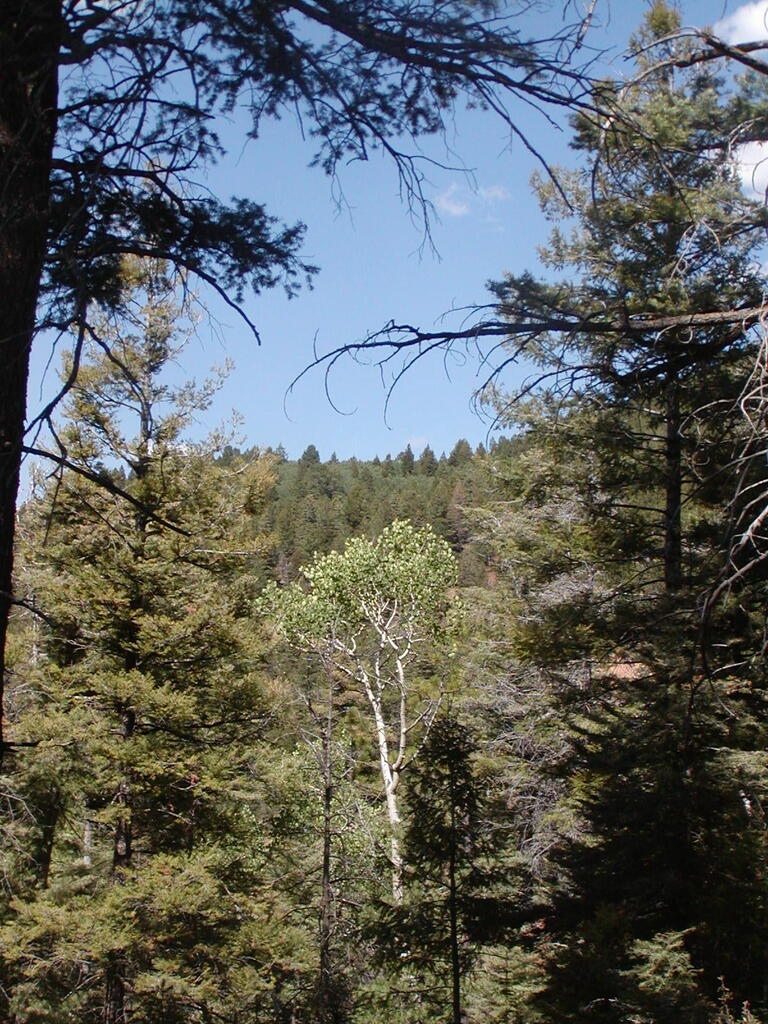 No description provided for: /2009/0810-new-mexico/_2/photo40.html