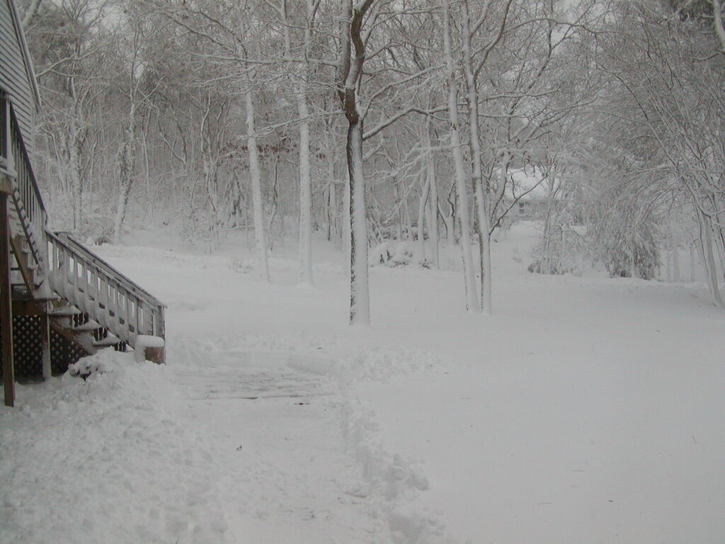 No description provided for: /2009/1220-snowstorm/photo02.html