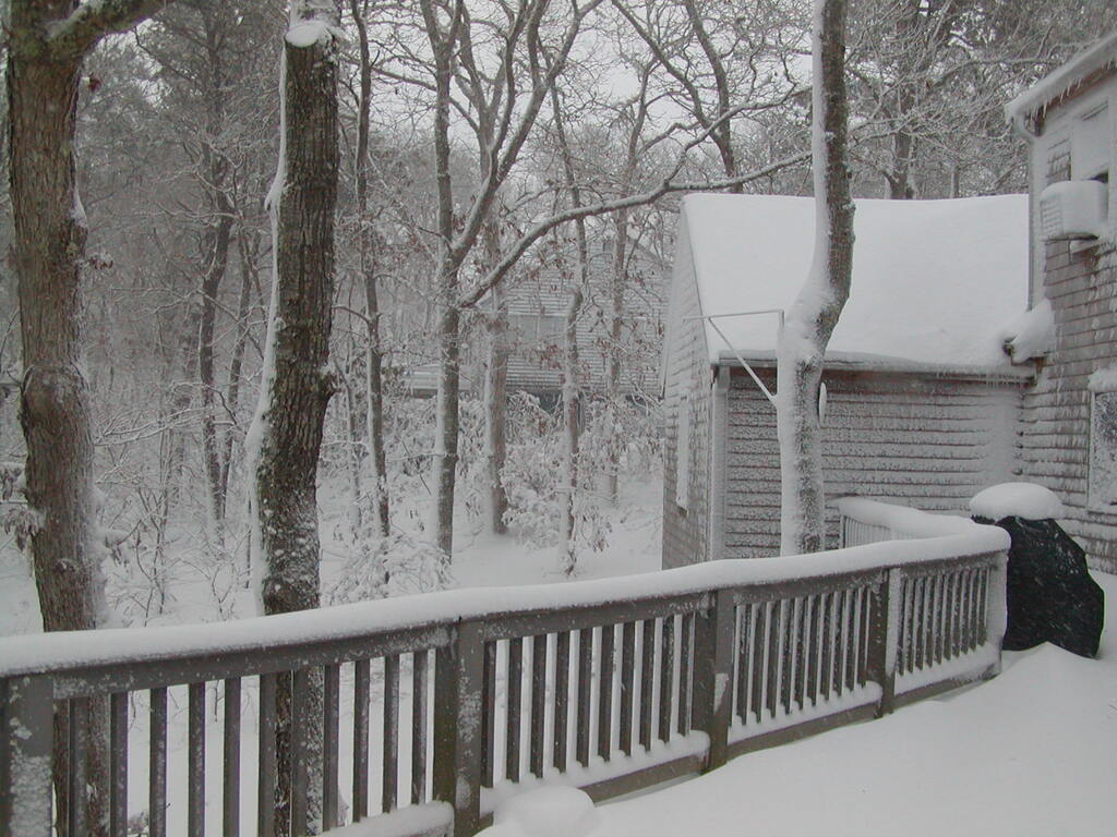 No description provided for: /2009/1220-snowstorm/photo07.html