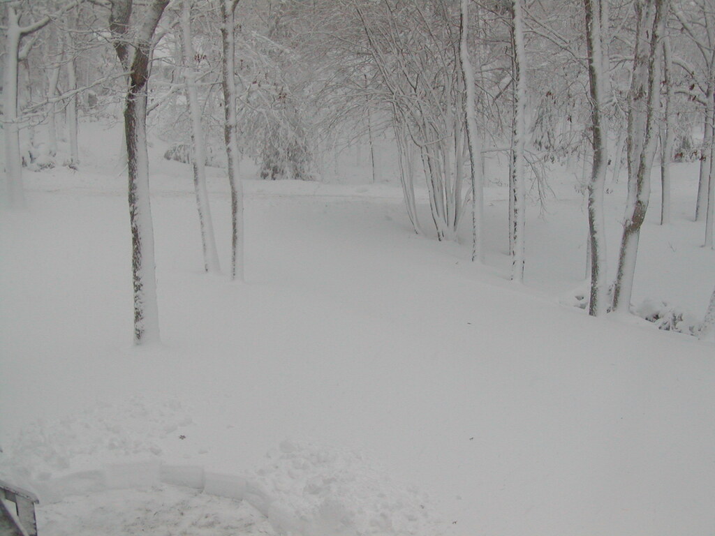 No description provided for: /2009/1220-snowstorm/photo08.html