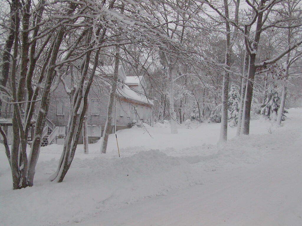 No description provided for: /2009/1220-snowstorm/photo12.html