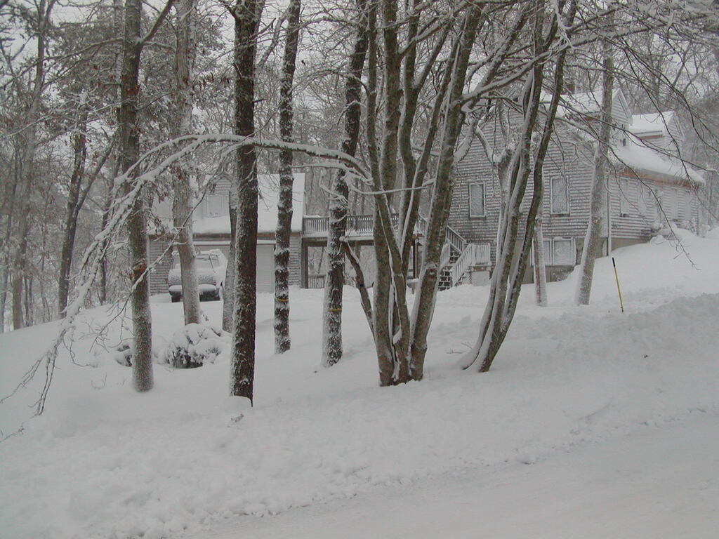 No description provided for: /2009/1220-snowstorm/photo13.html