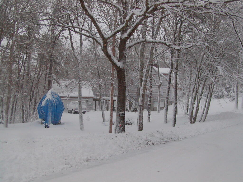 No description provided for: /2009/1220-snowstorm/photo14.html