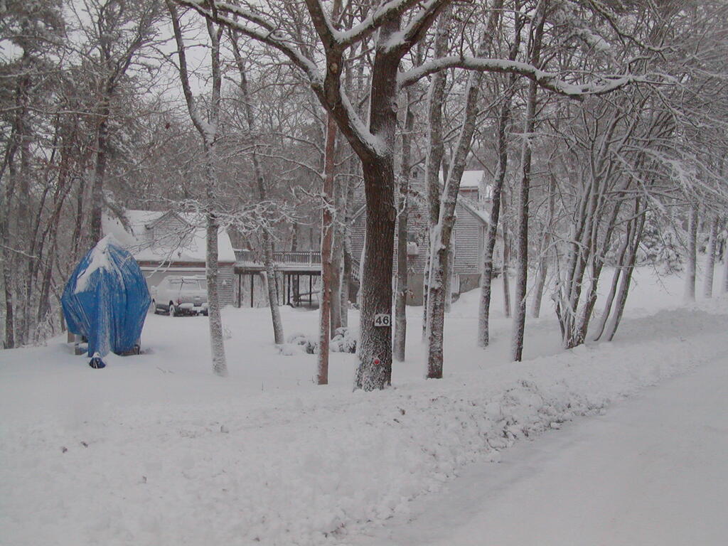 No description provided for: /2009/1220-snowstorm/photo15.html