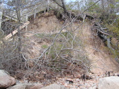 Image file: photo10.jpg