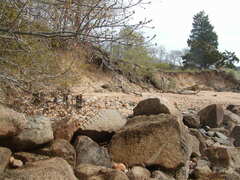 Image file: photo13.jpg